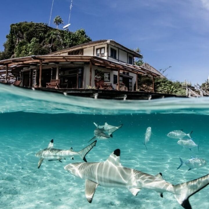 Misool-Indonesia-8